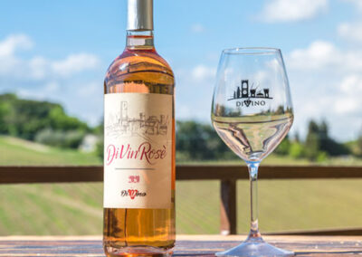 Divino rose